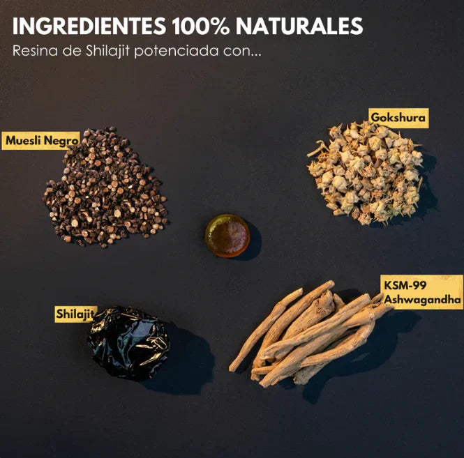 Bodywise %100 Pure Shilajit Gummies